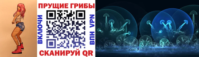 цены   Губкинский  Псилоцибиновые грибы прущие грибы 